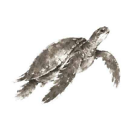 Sumi-e ink brushwork of a great sea turtle alone, suspended in open empty space with flippers outstretched