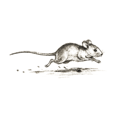 Sumi-e ink brushwork of a small mouse with ears raised, alone in empty space